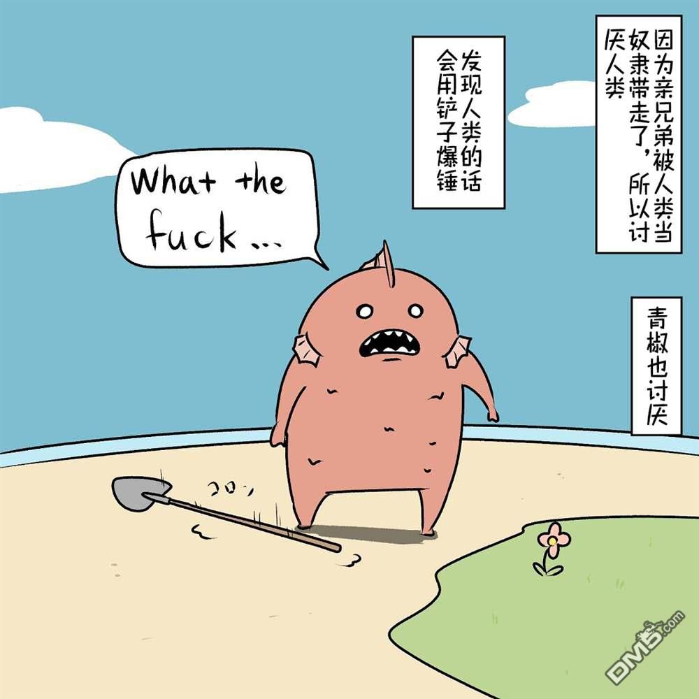 33.jpg