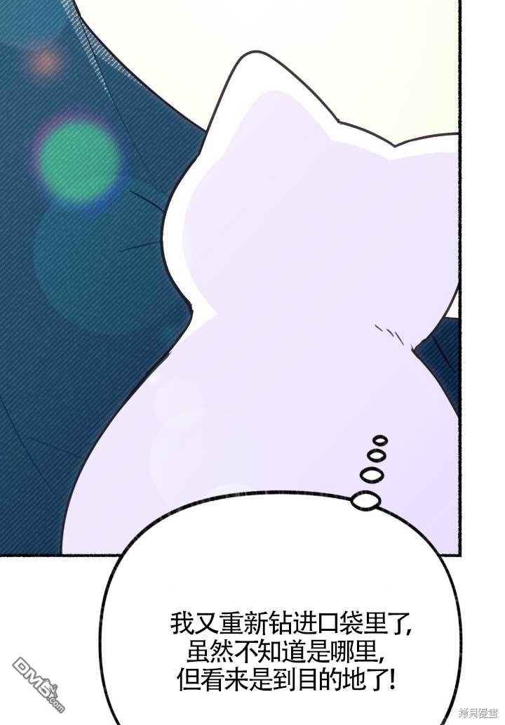 79.jpg