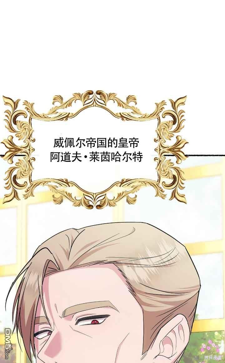 46.jpg