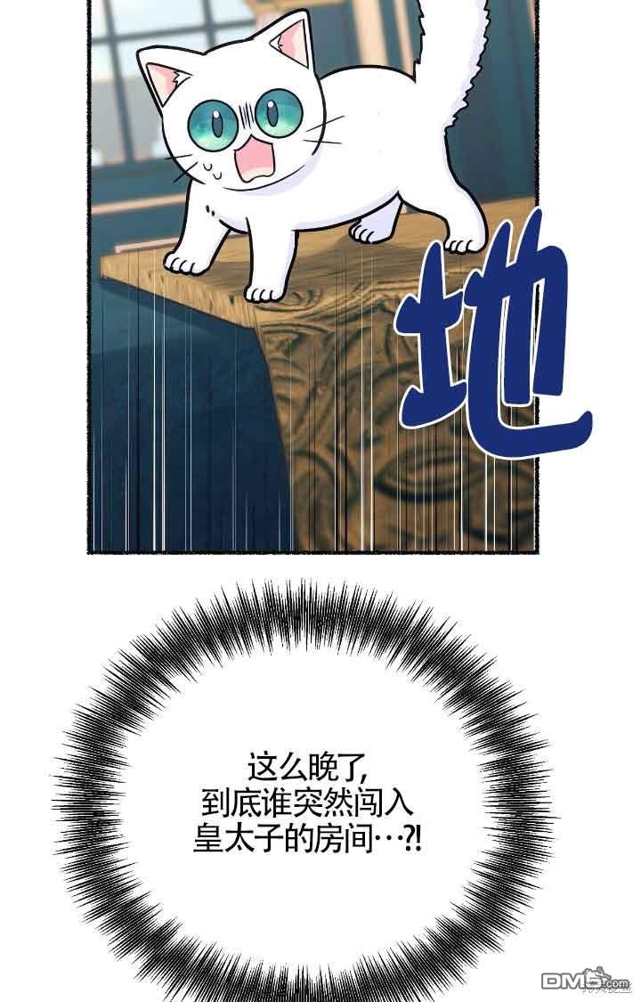 29.jpg