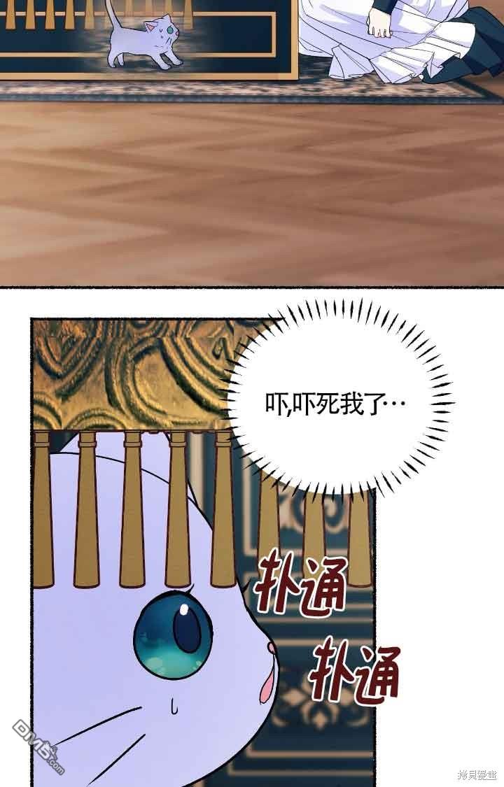 79.jpg