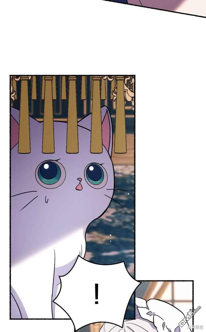 97.jpg