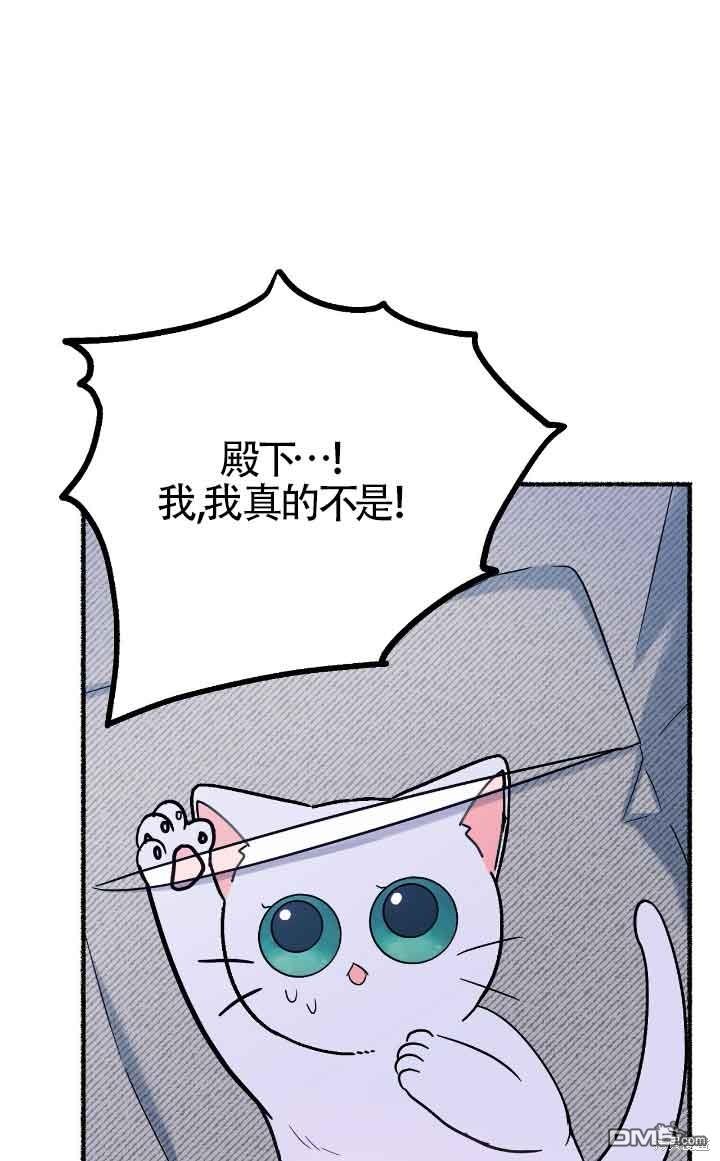 66.jpg