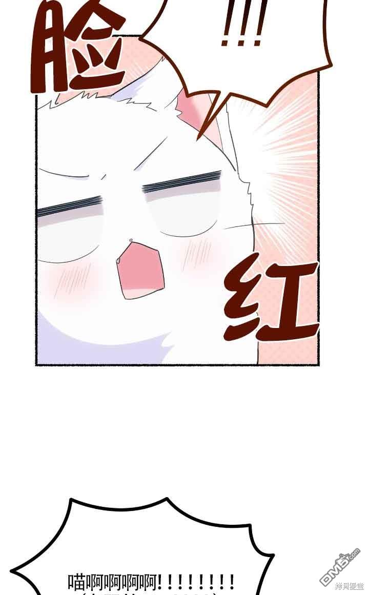 73.jpg