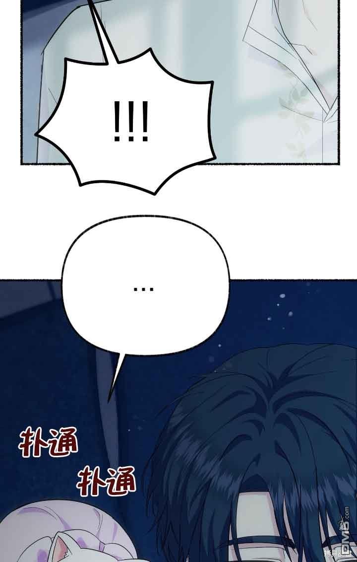 85.jpg