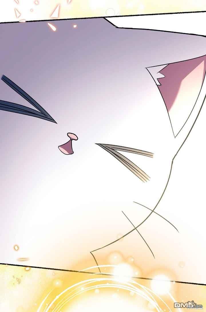 84.jpg