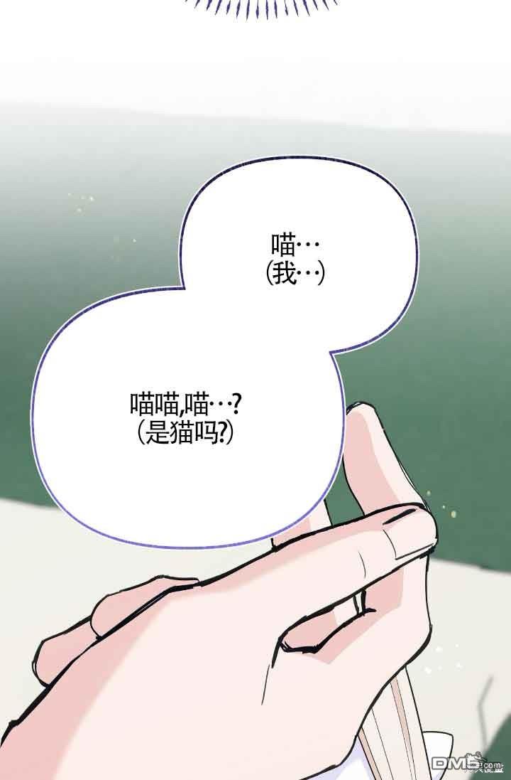 99.jpg
