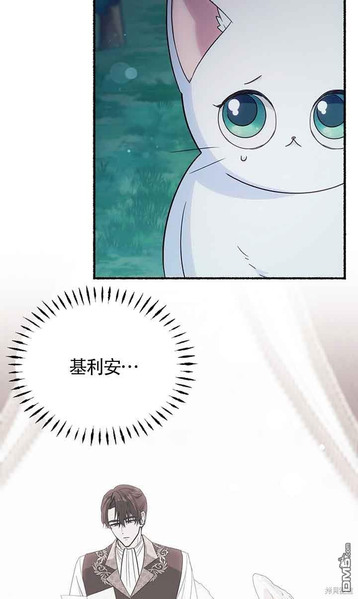 62.jpg