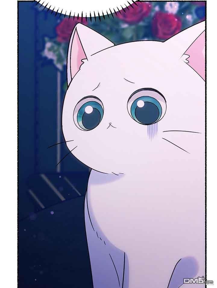 63.jpg