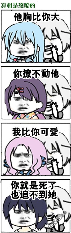13.jpg