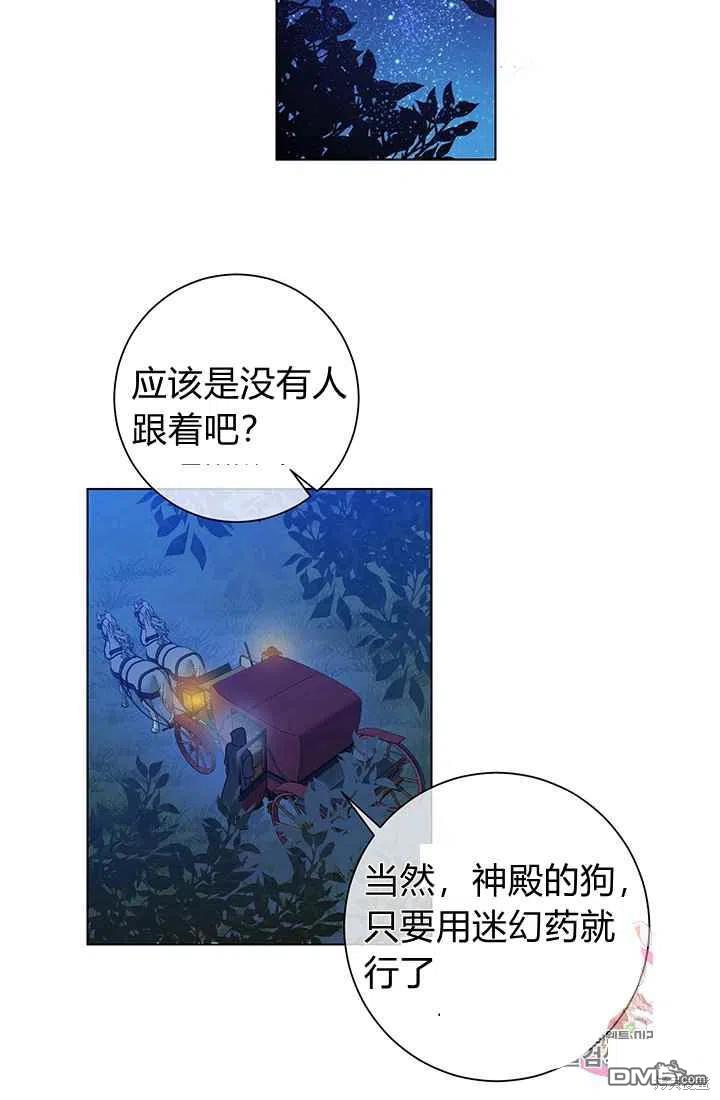 41.jpg