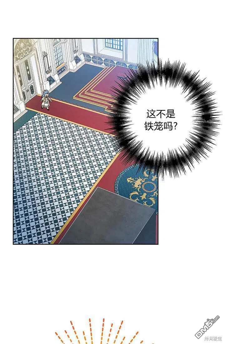 62.jpg