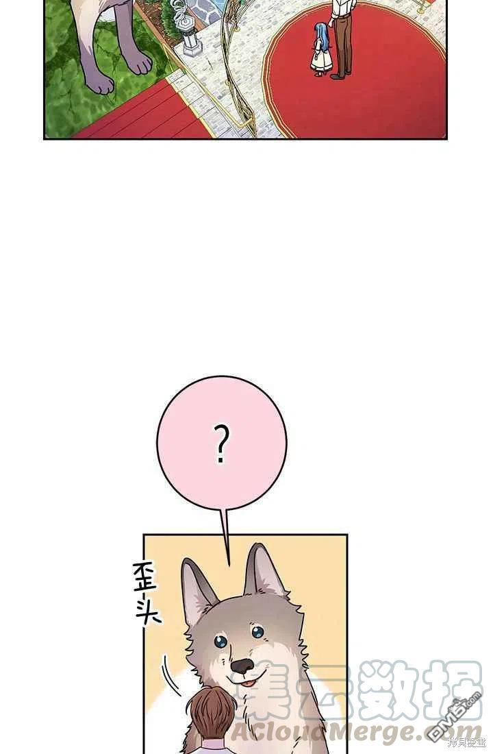 41.jpg