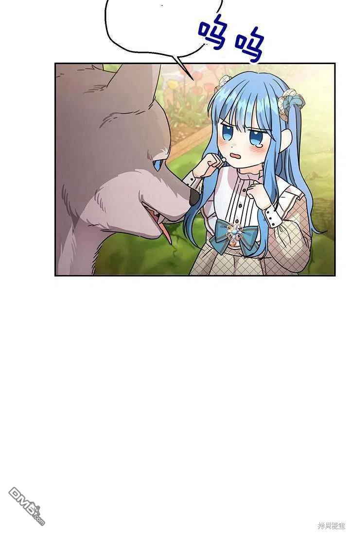 91.jpg
