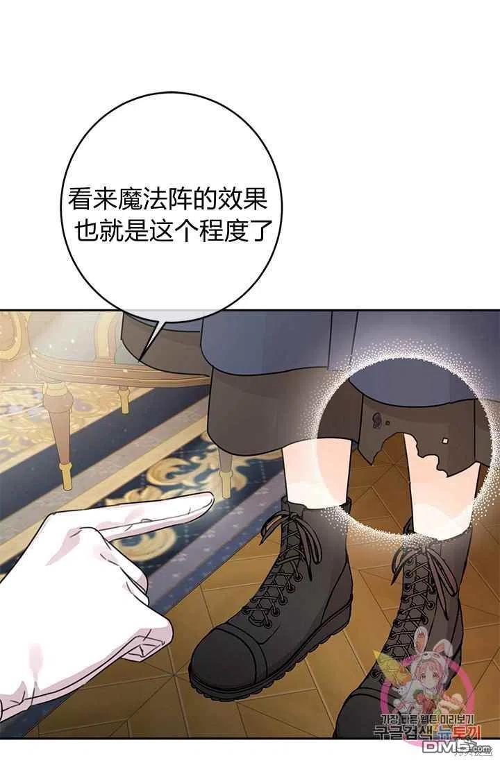 41.jpg