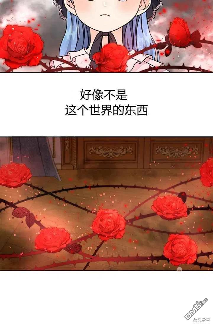 77.jpg