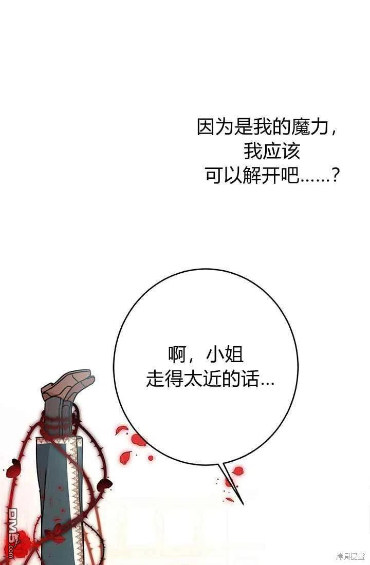87.jpg