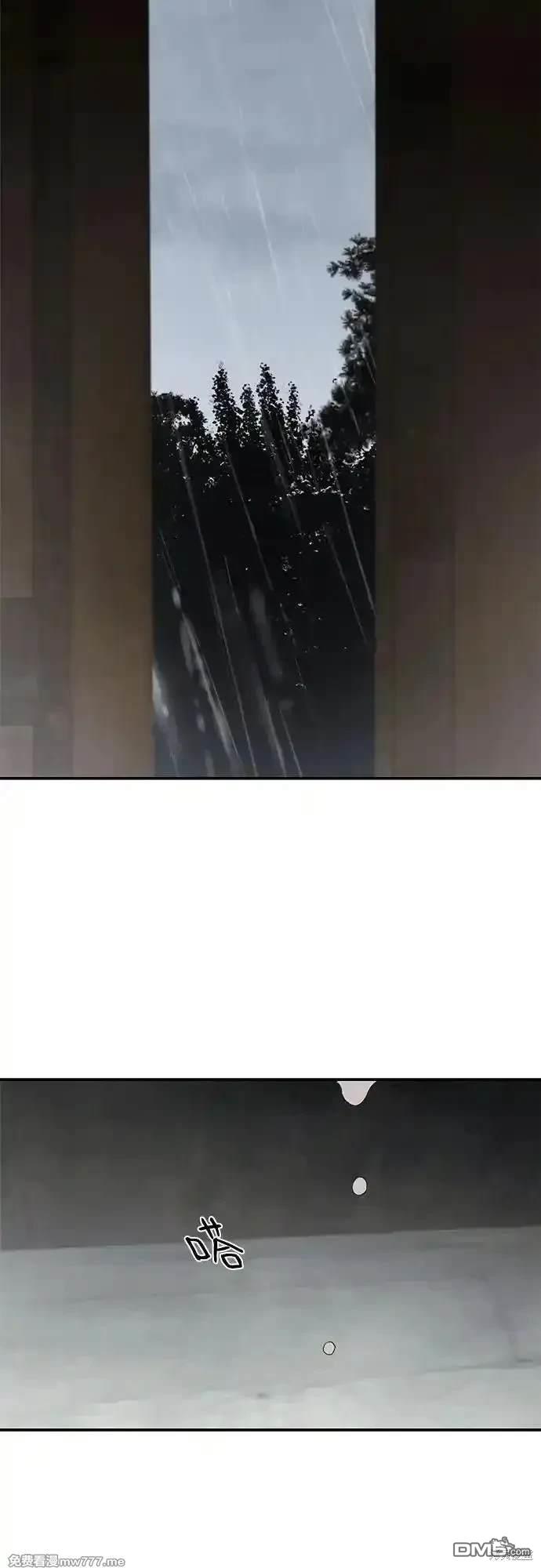 47.jpg