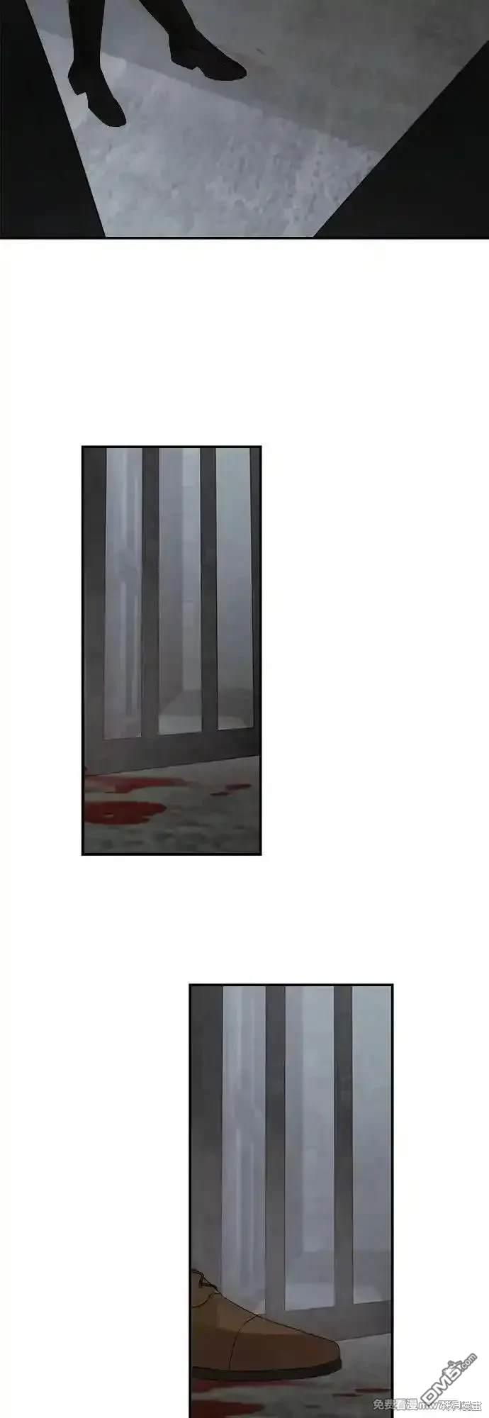 77.jpg