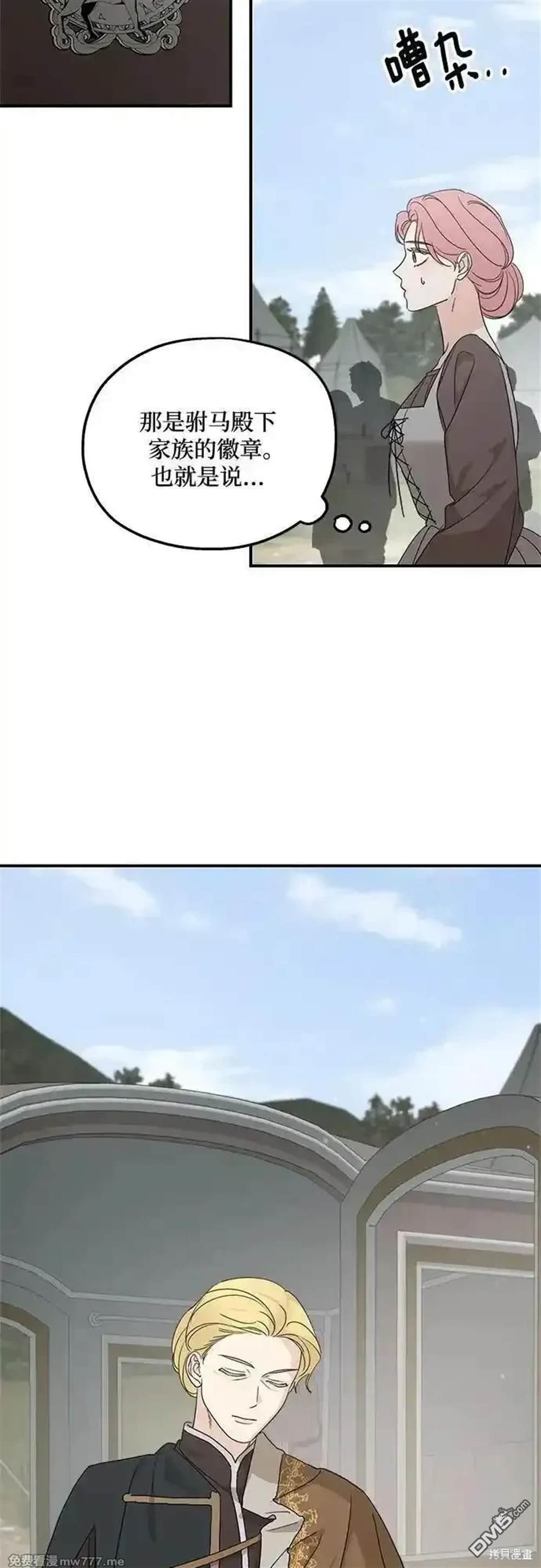 41.jpg