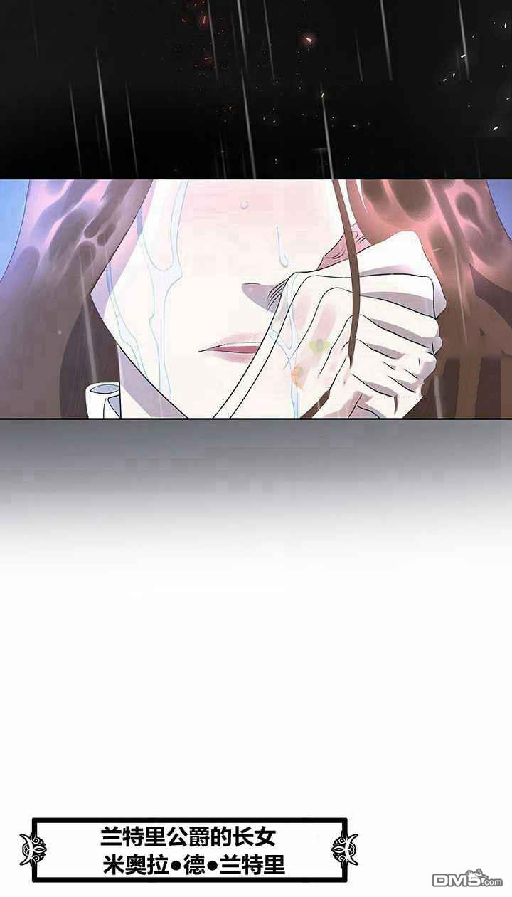 41.jpg