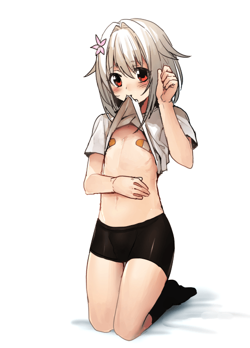 254.jpg