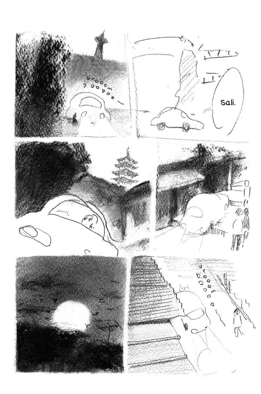 29.jpg