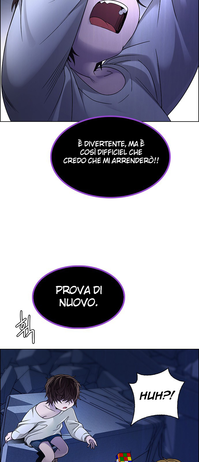 31.jpg