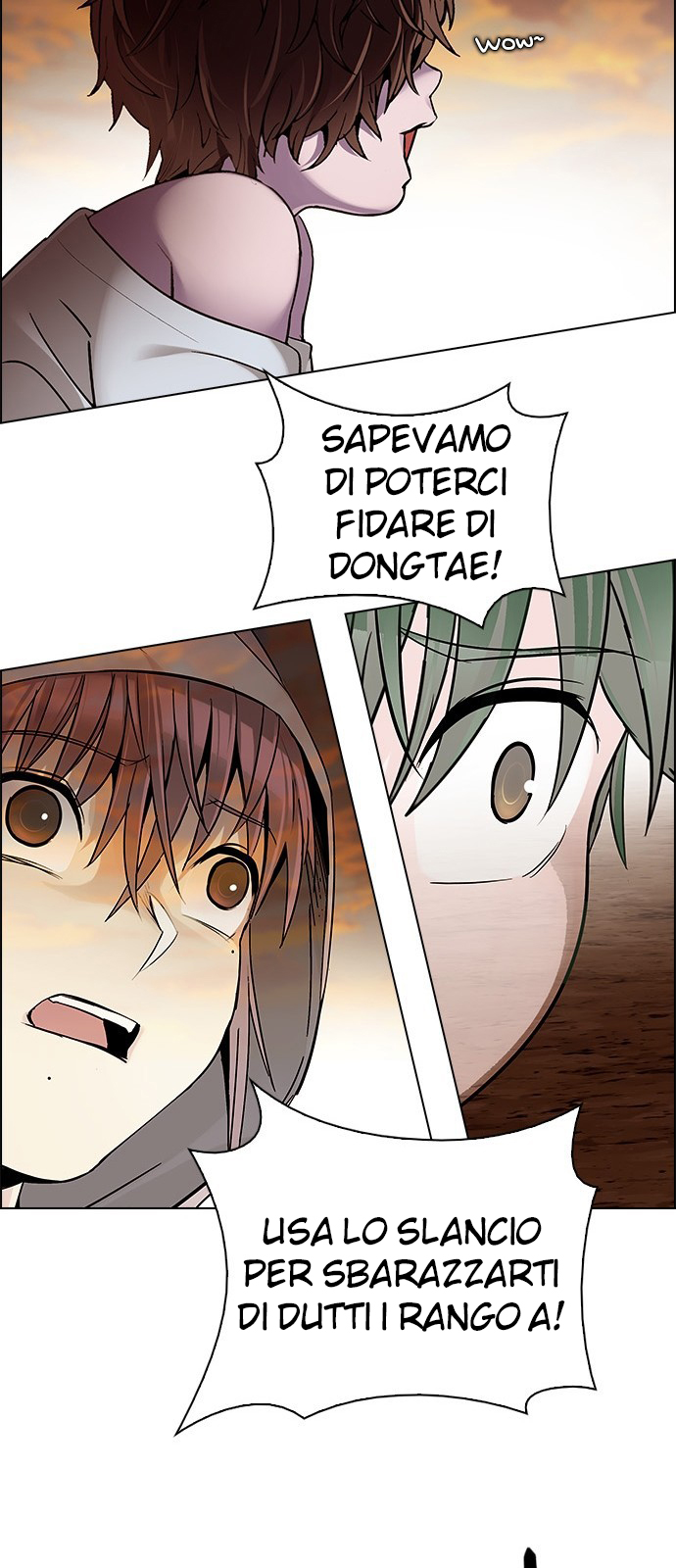 19.jpg