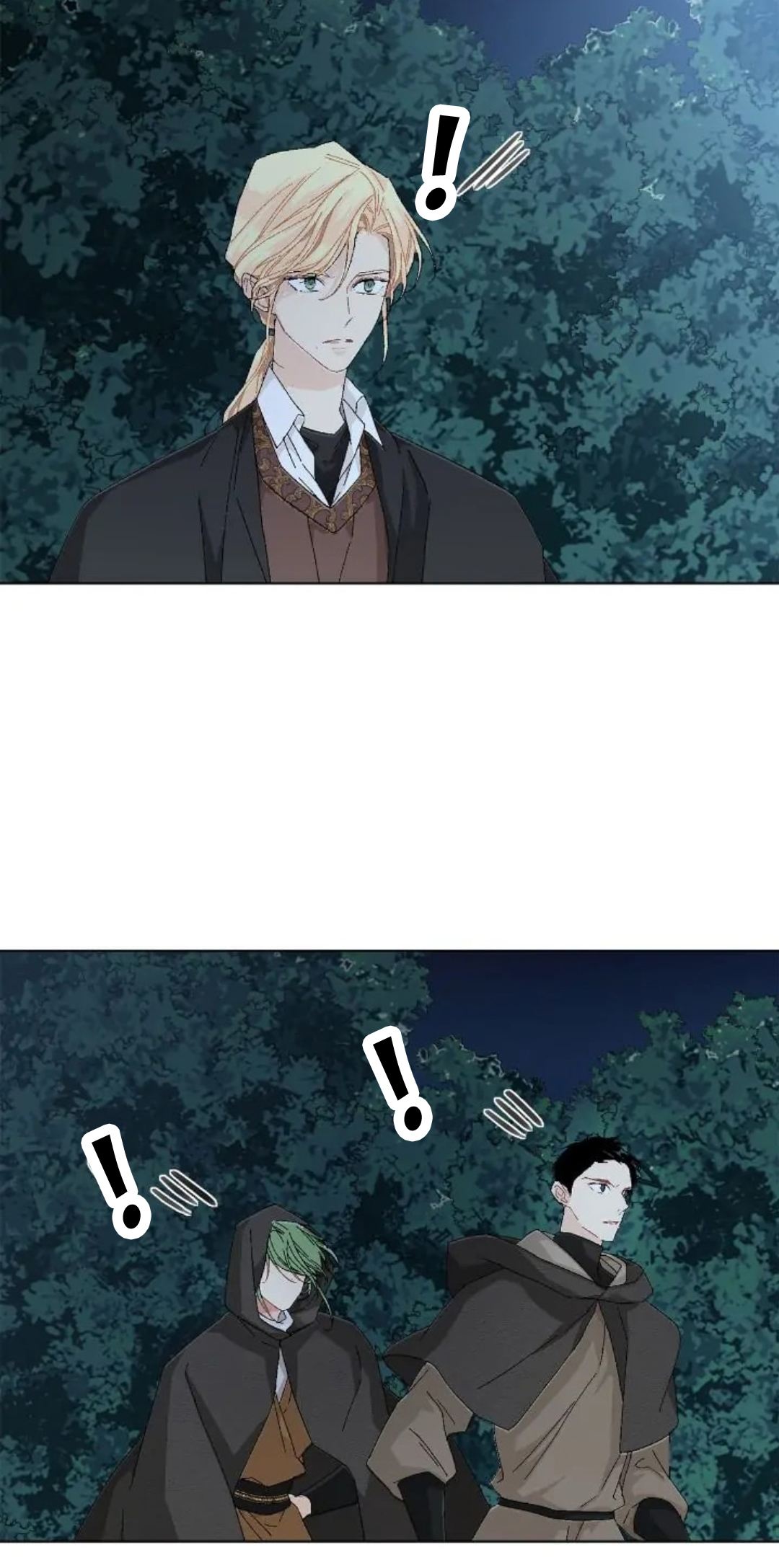 40.jpg