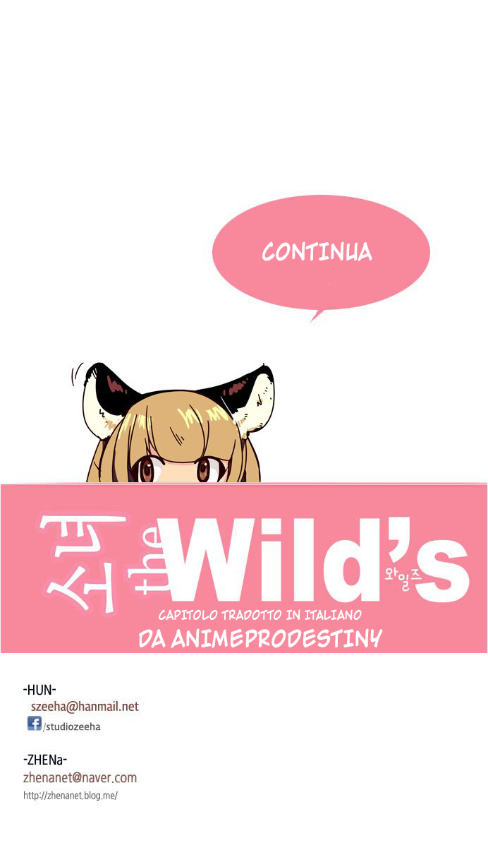 21.jpg
