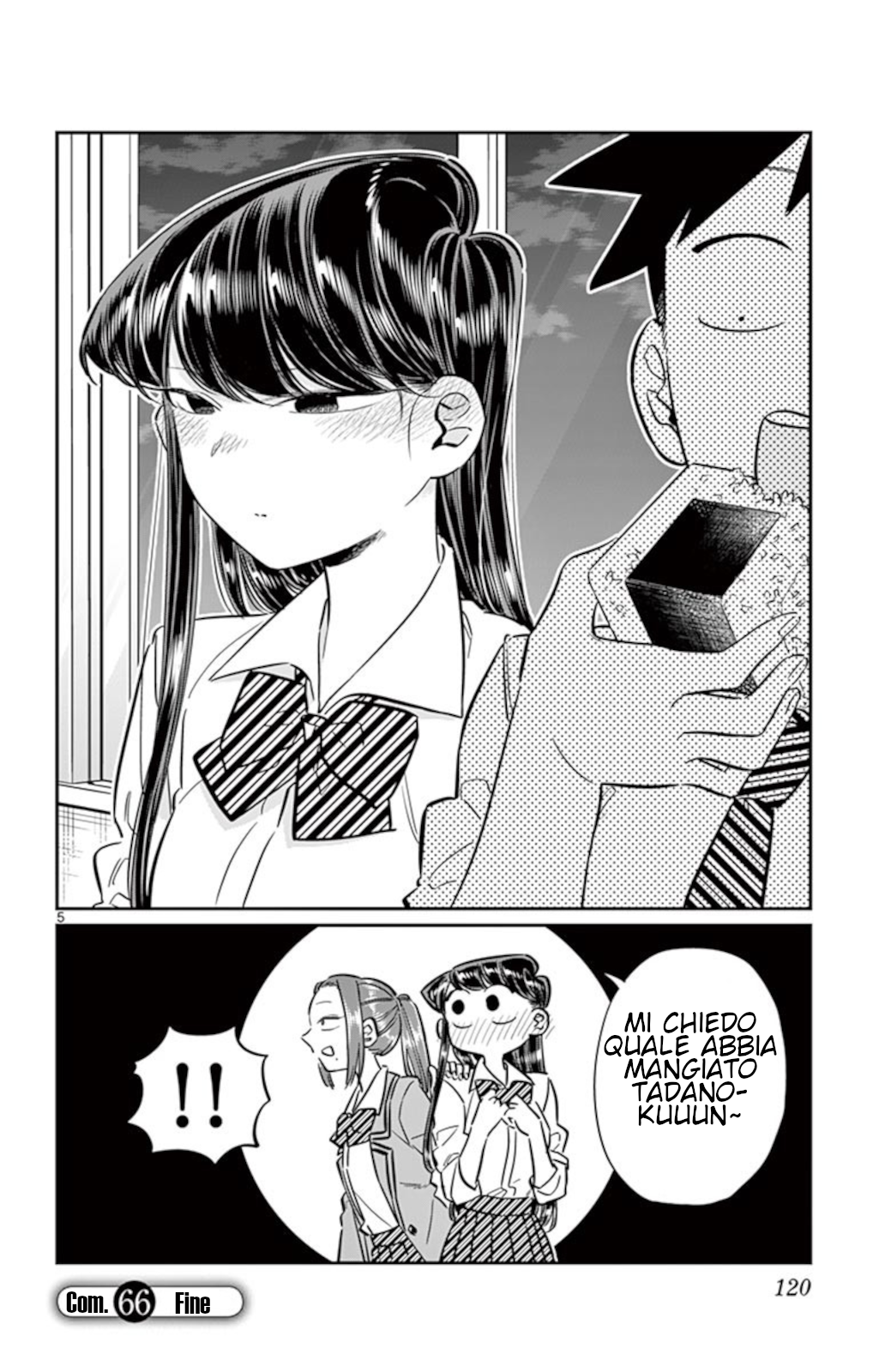 5.jpg