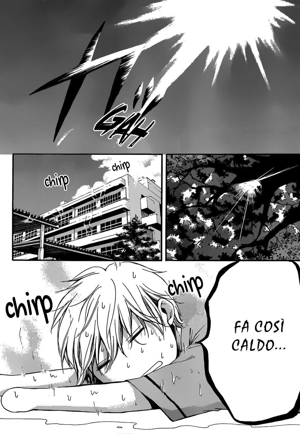 25.jpg