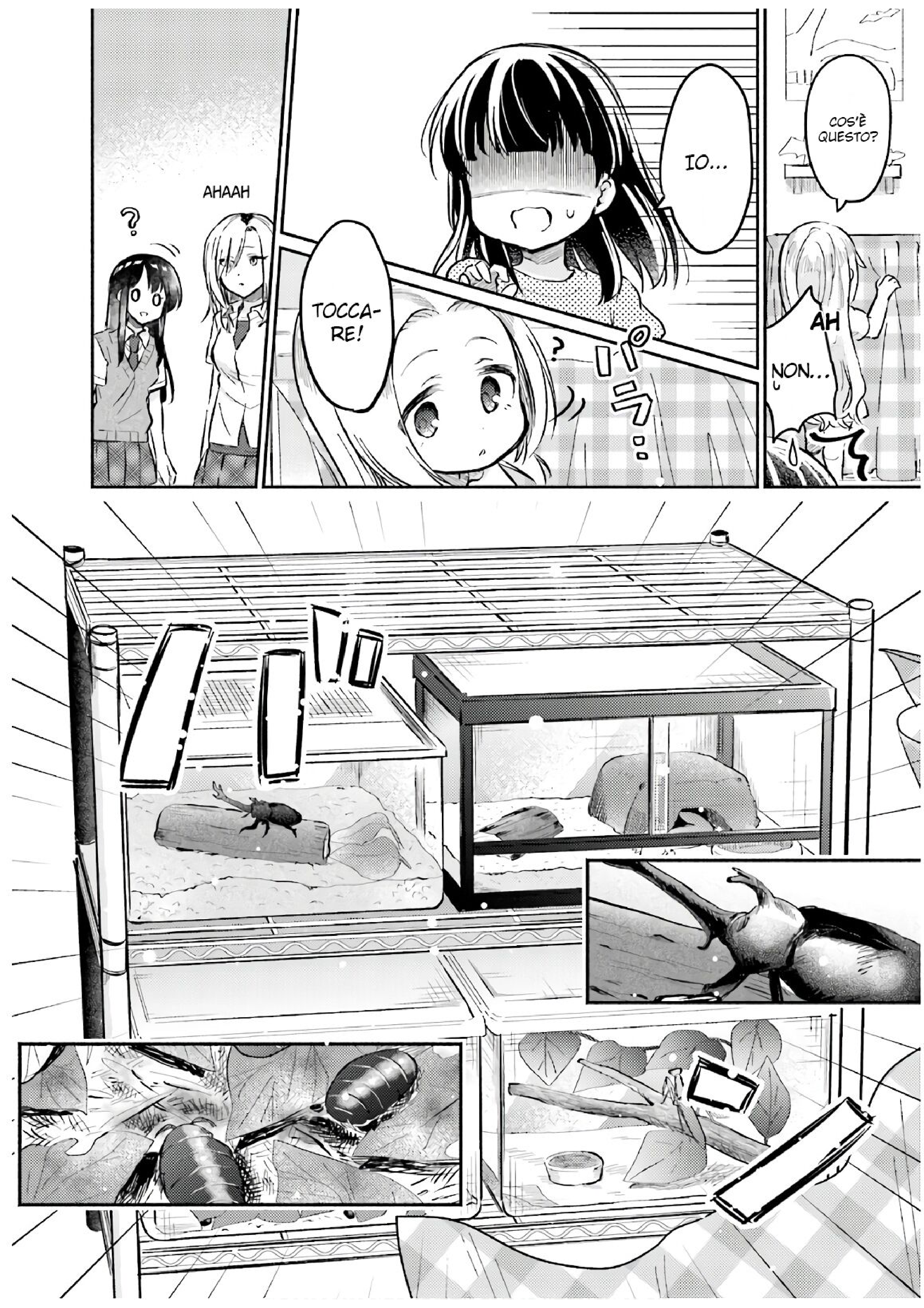 17.jpg