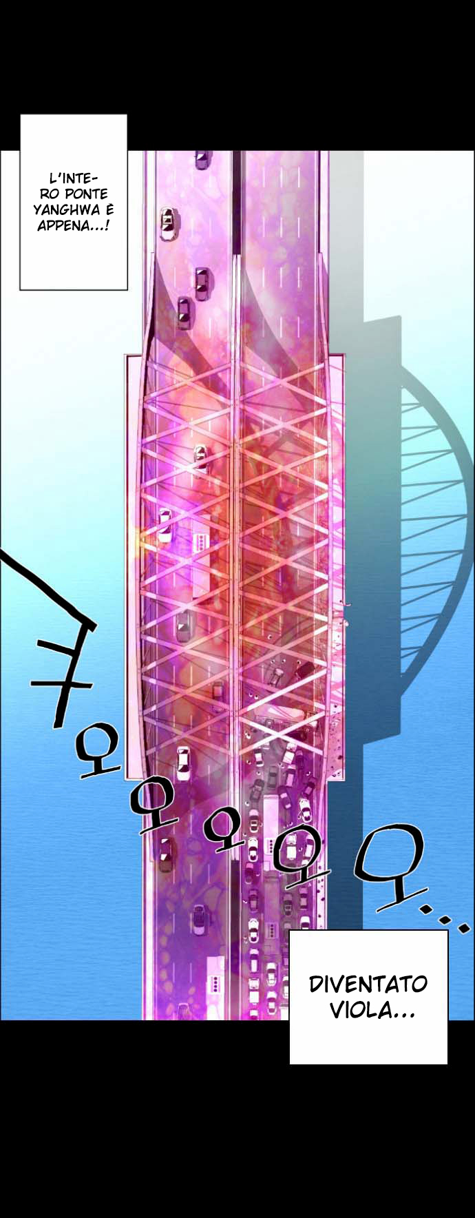 48.jpg