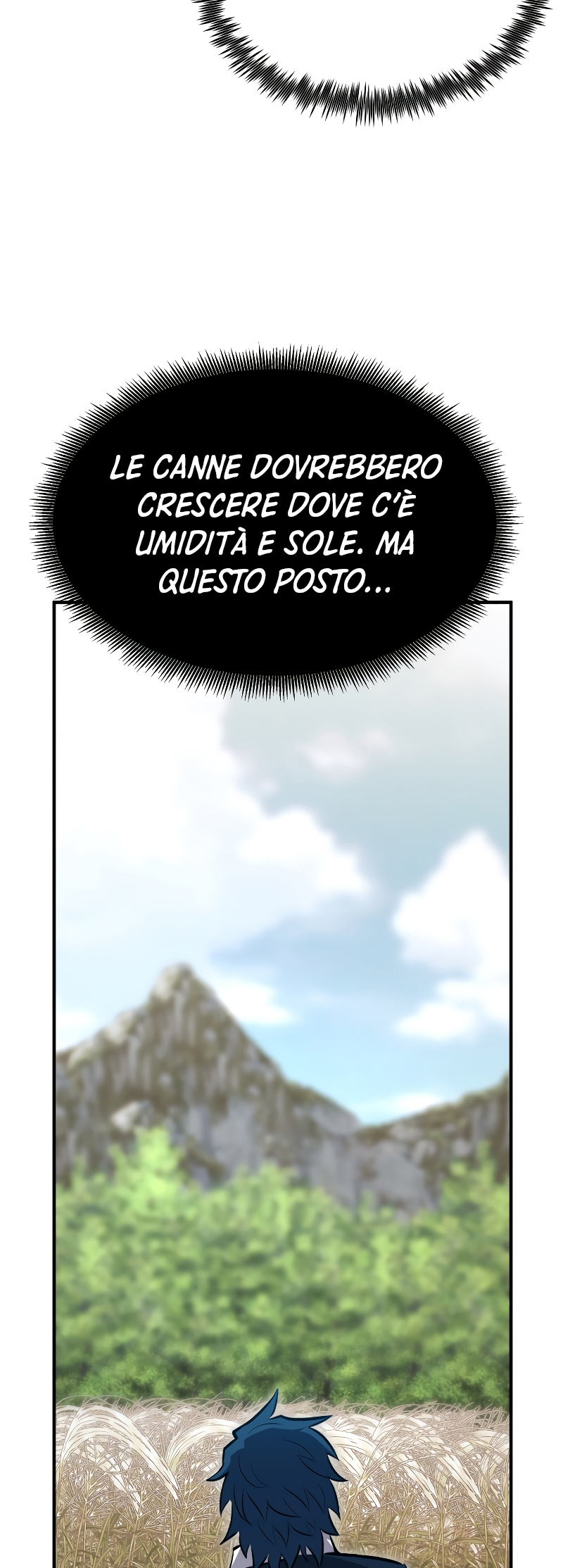 79.jpg