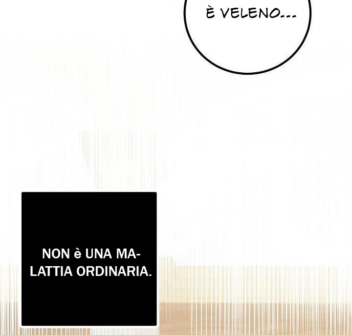 78.jpg