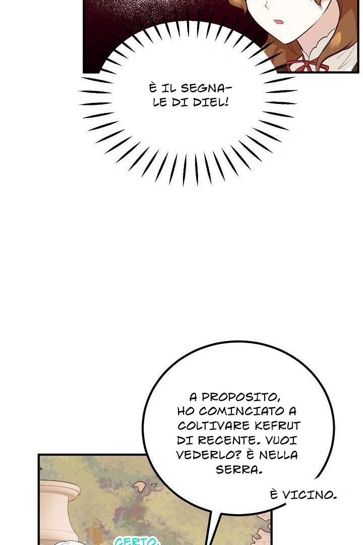 62.jpg