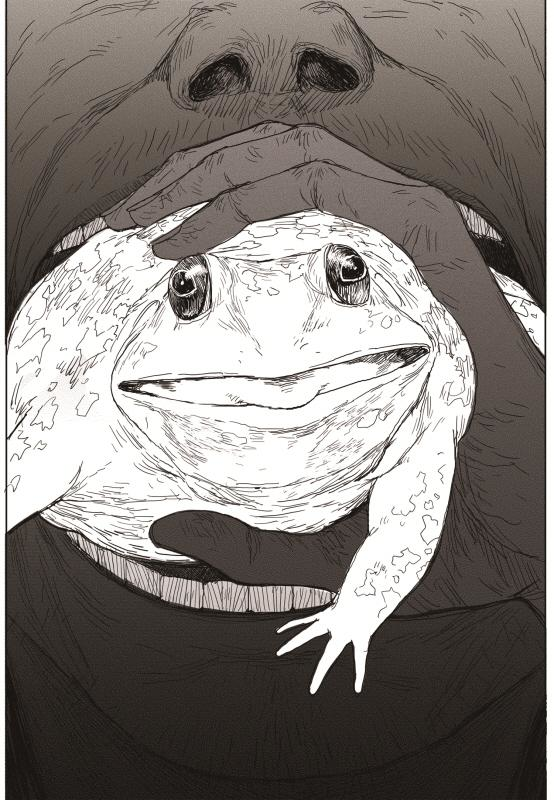47.jpg