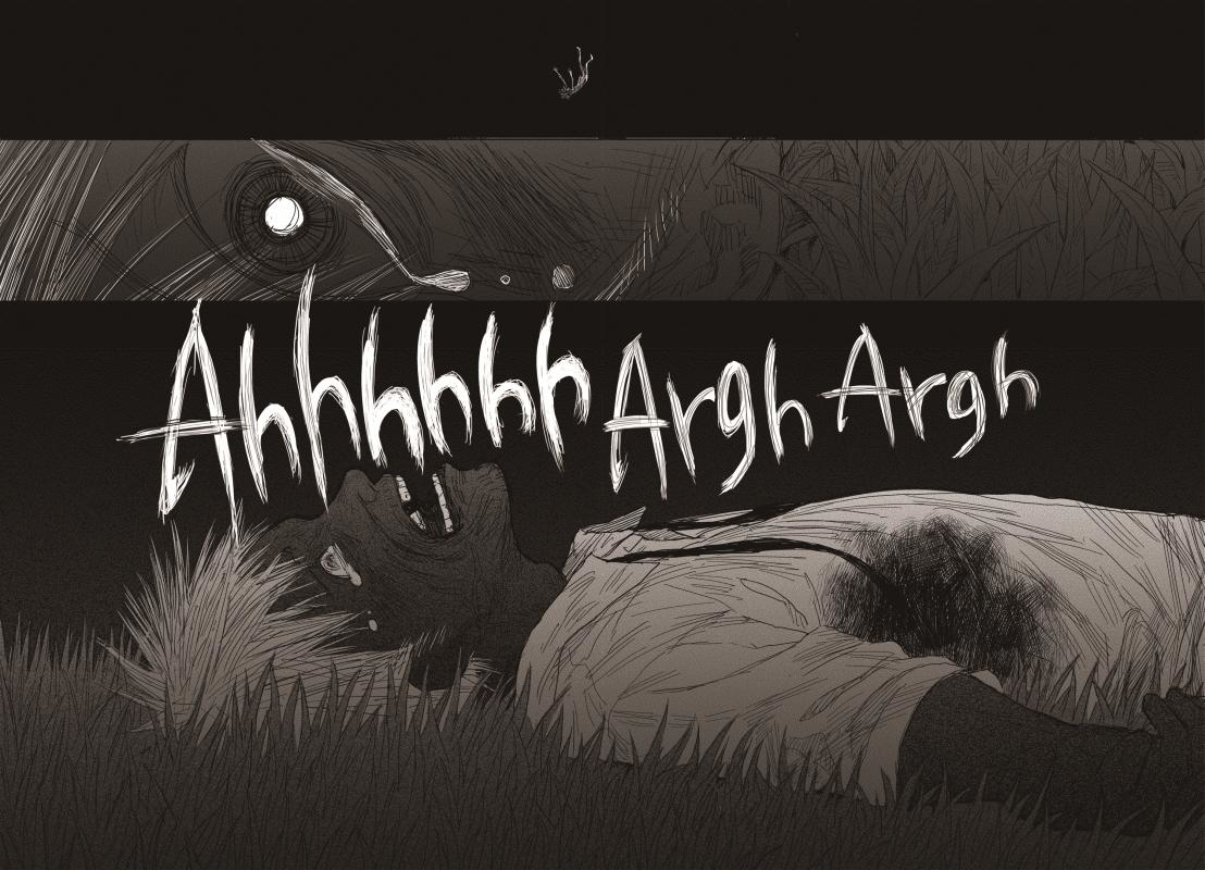 43.jpg