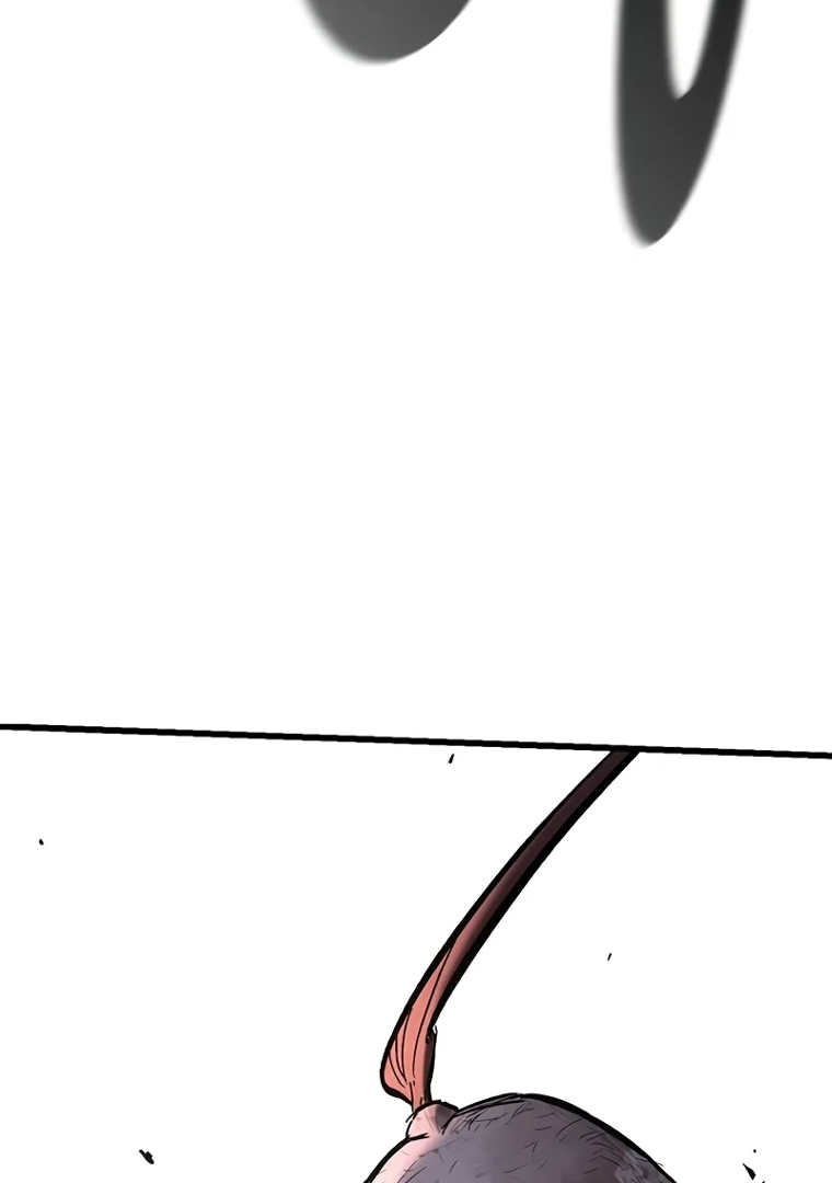 244.jpg