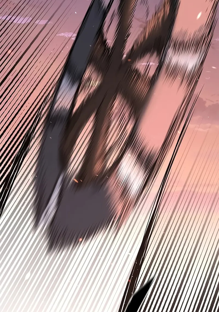 255.jpg