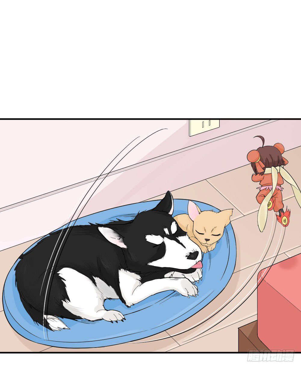 14.jpg