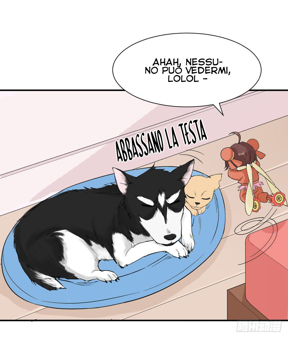 16.jpg