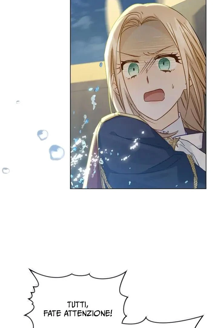 80.jpg
