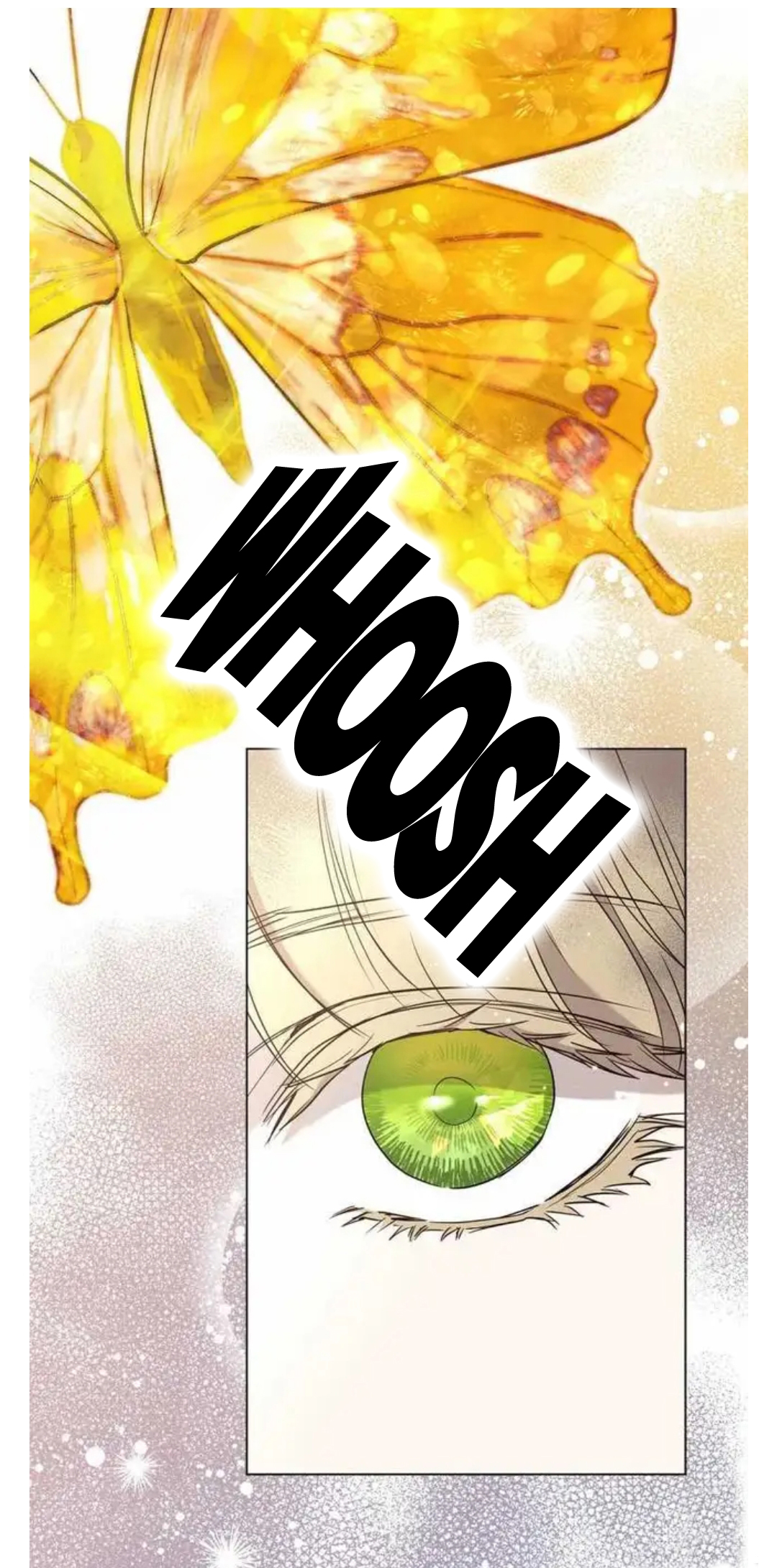 73.jpg