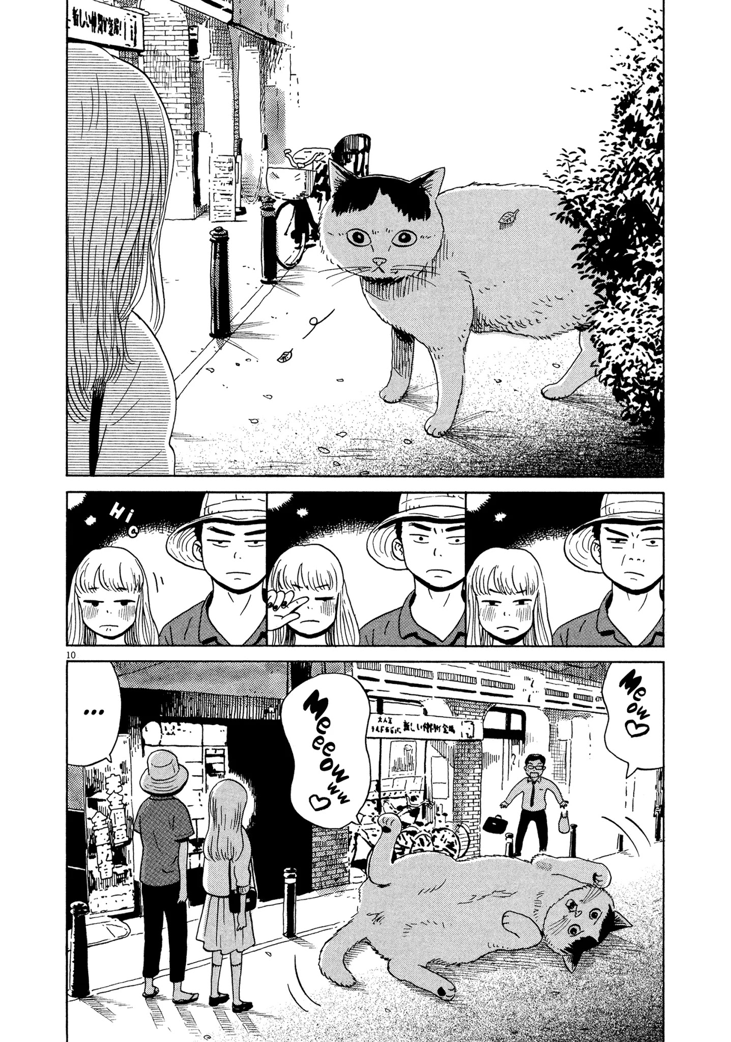 11.jpg