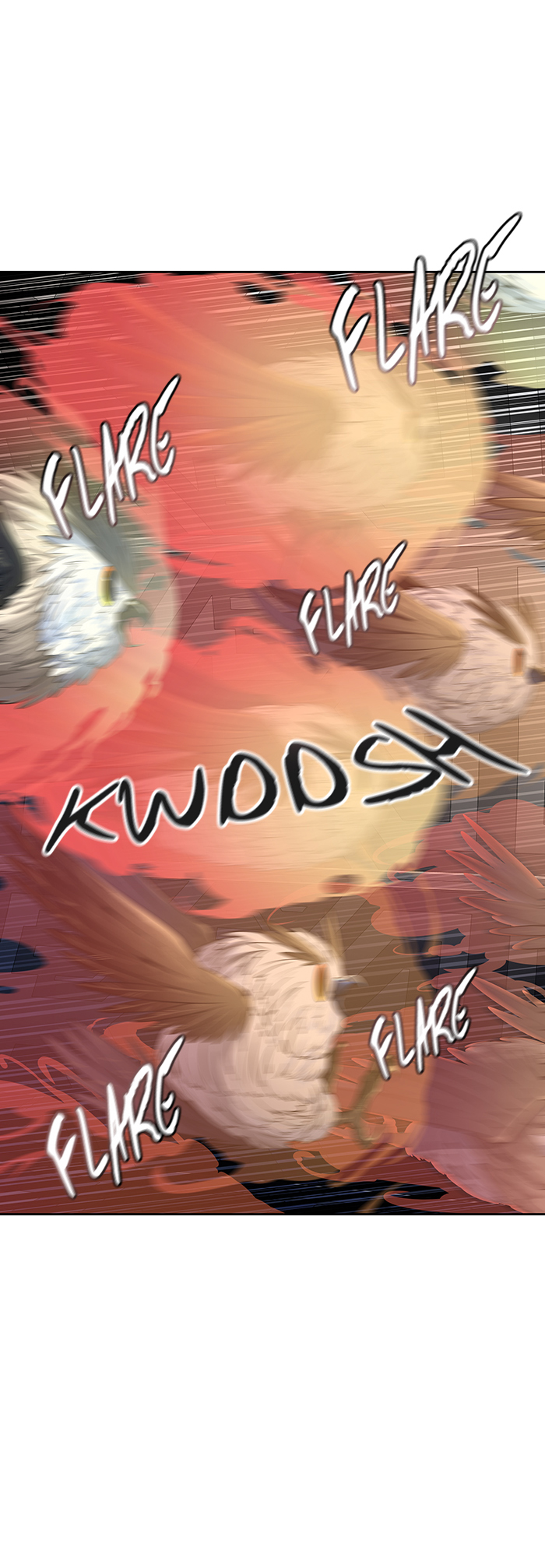 51.jpg