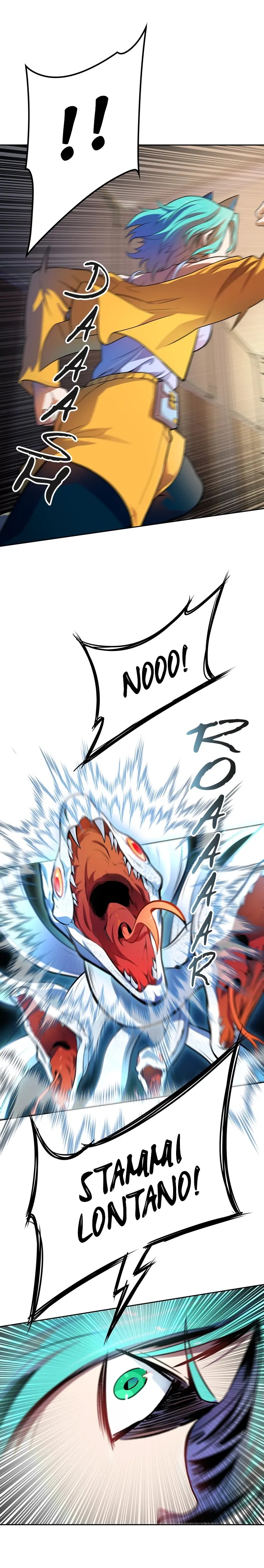 25.jpg