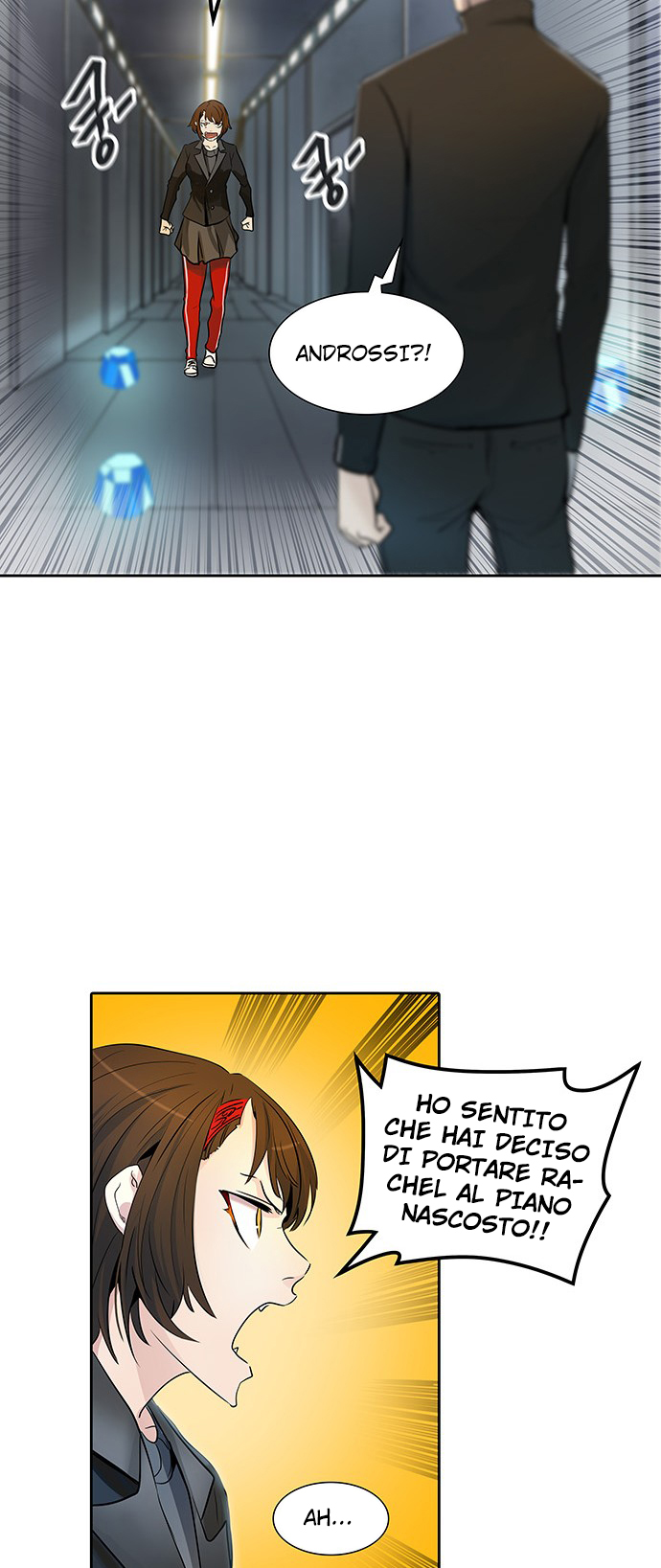 41.jpg